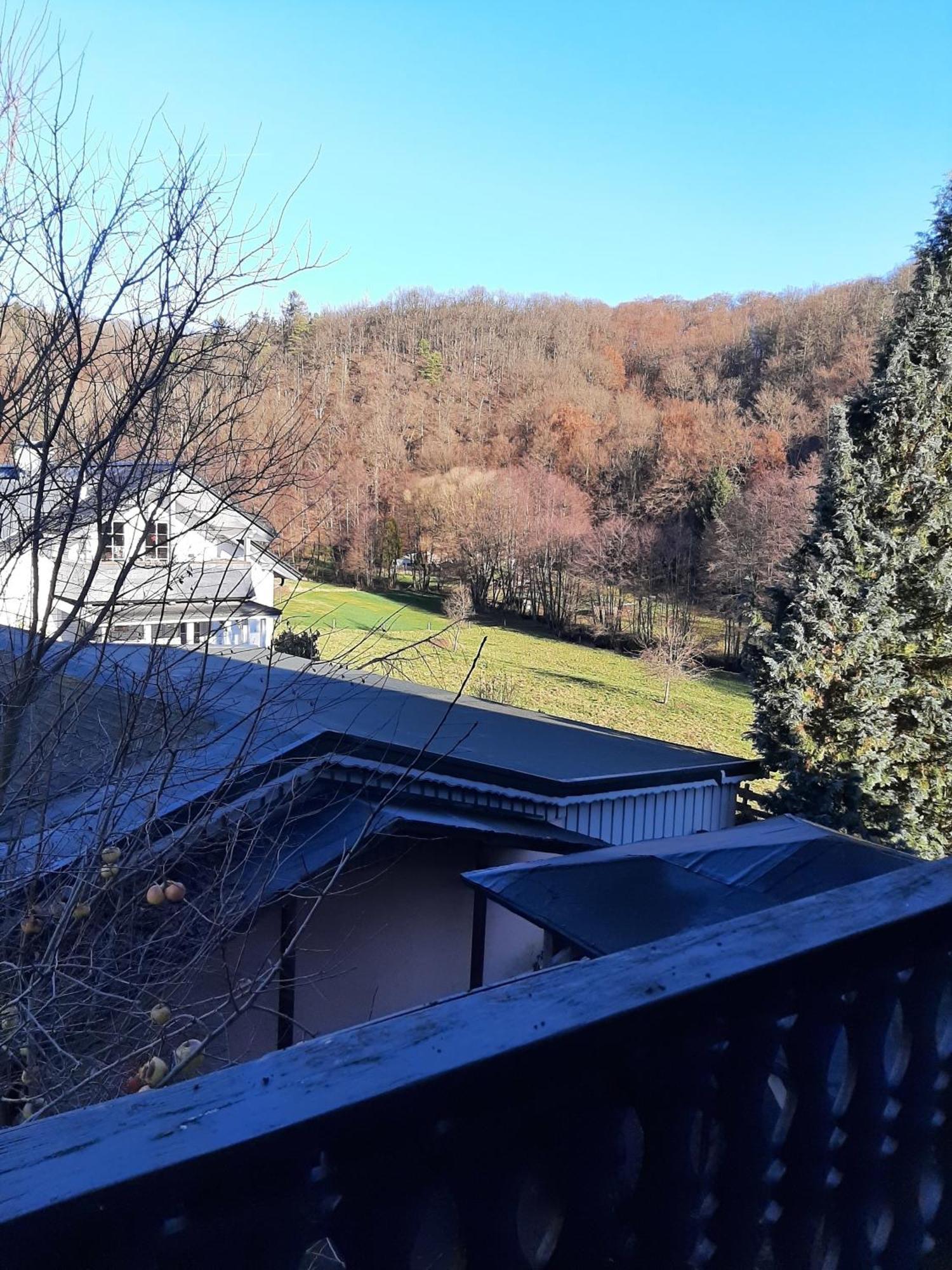 Ferienwohnung Bergblick Hallenberg Luaran gambar