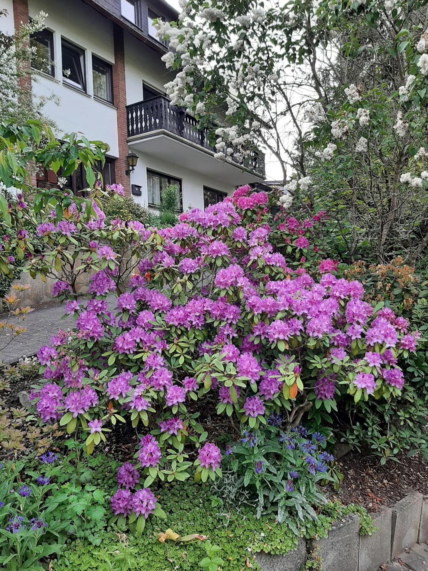 Ferienwohnung Bergblick Hallenberg Luaran gambar